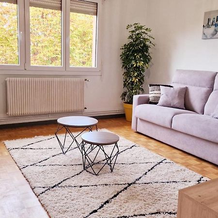 Le Cosy Des Marronniers - 6 Pers Daire Sélestat Dış mekan fotoğraf